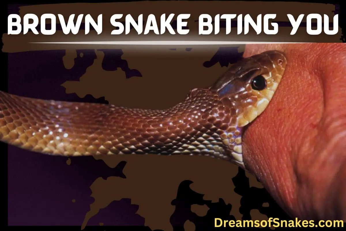 dream meaning of brown snake bite