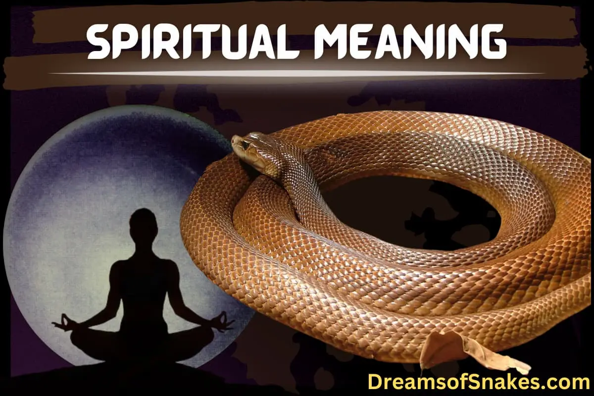 dreaming of brown snakes spiritual meaning