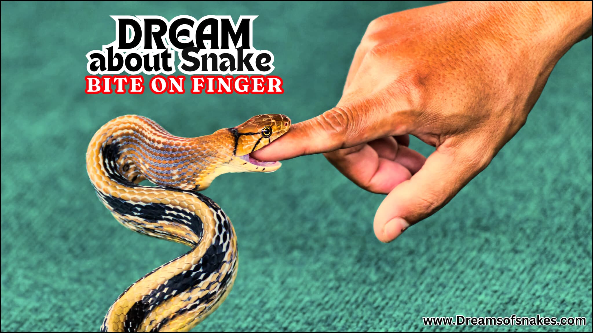 dream about snake bite on finger