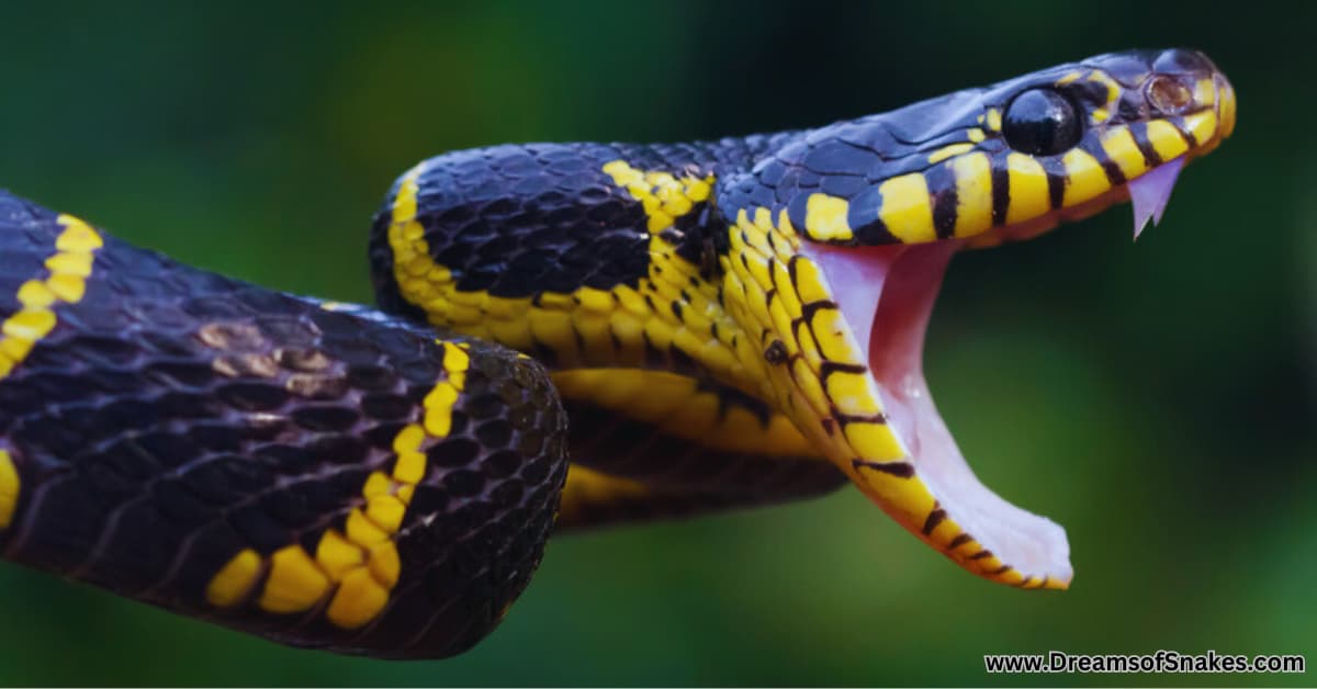 snake bite dream meaning in hindu astrology