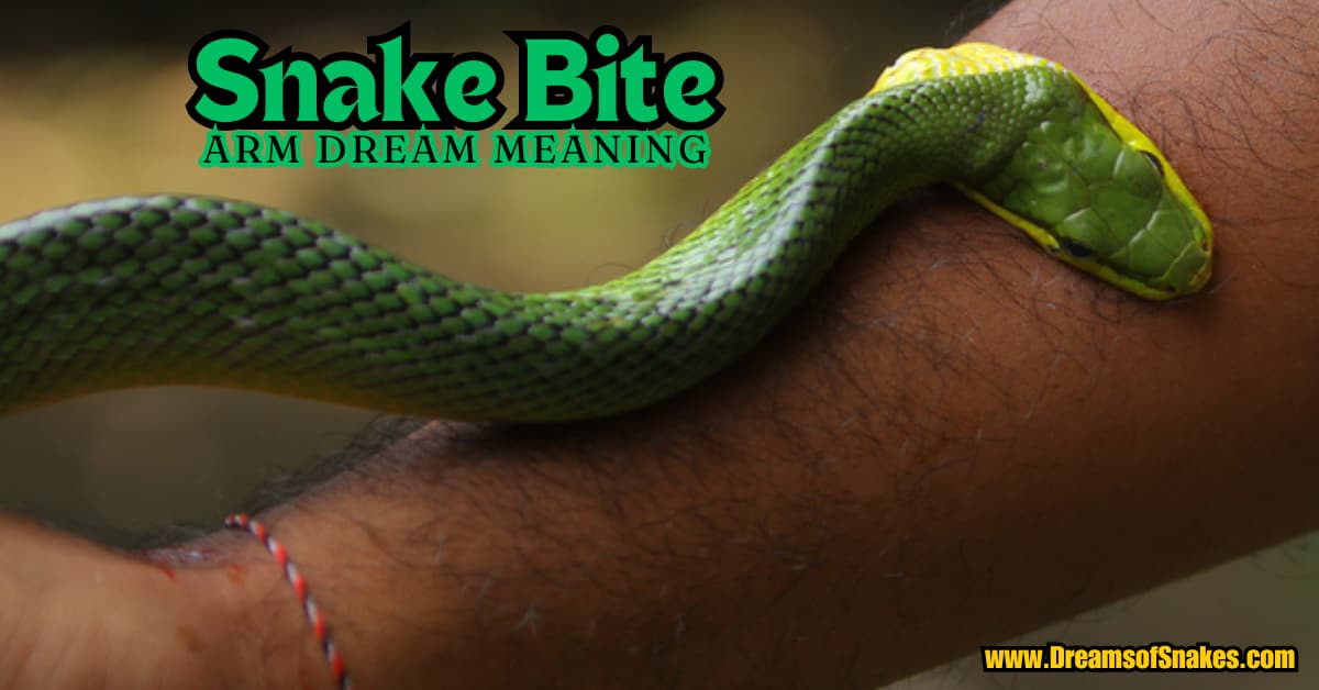 snake bite on left arm dream meaning