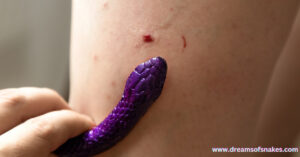  An individual grasps a purple snake, reflecting the dream meaning of a snake's bite on a person.